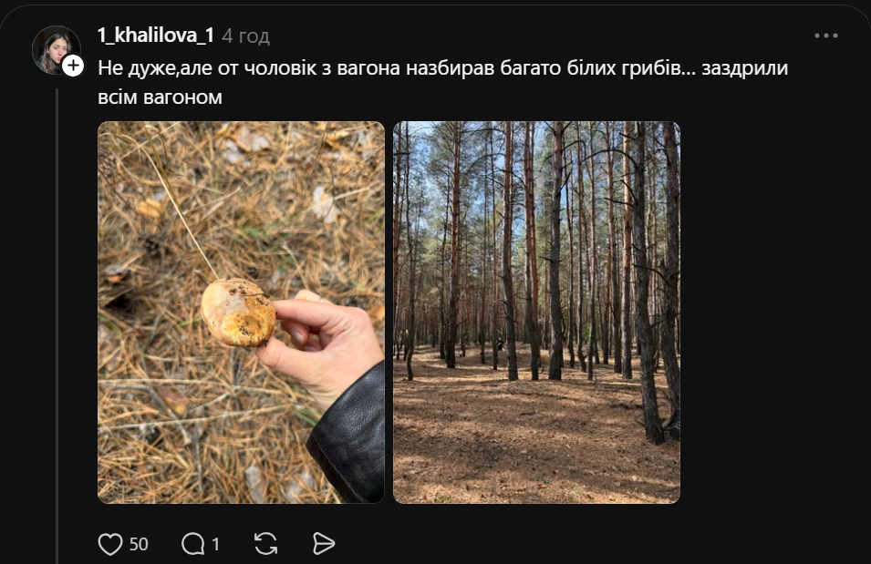 Не планували, але "душу відвели": як пасажири УЗ збирали гриби під час евакуації (відео)